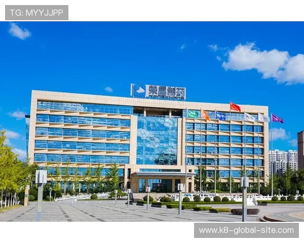 K8凯发旗舰厅注册平台的客户服务与技术支持,全天候为玩家保驾护航 K8凯发旗舰厅注册平台的客户服务与技术支持,全天候为玩家保驾护航